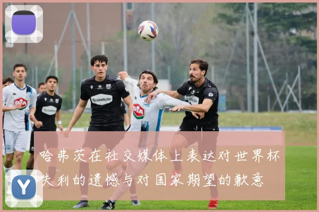 哈弗茨在社交媒体上表达对世界杯失利的遗憾与对国家期望的歉意