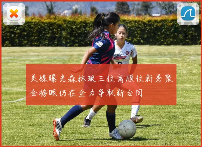 美媒曝光森林狼三位高顺位新秀聚会榜眼仍在全力争取新合同